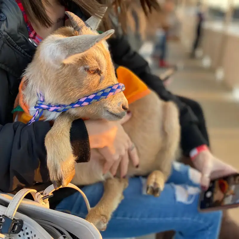 a person sitting next to a stuffed animal
