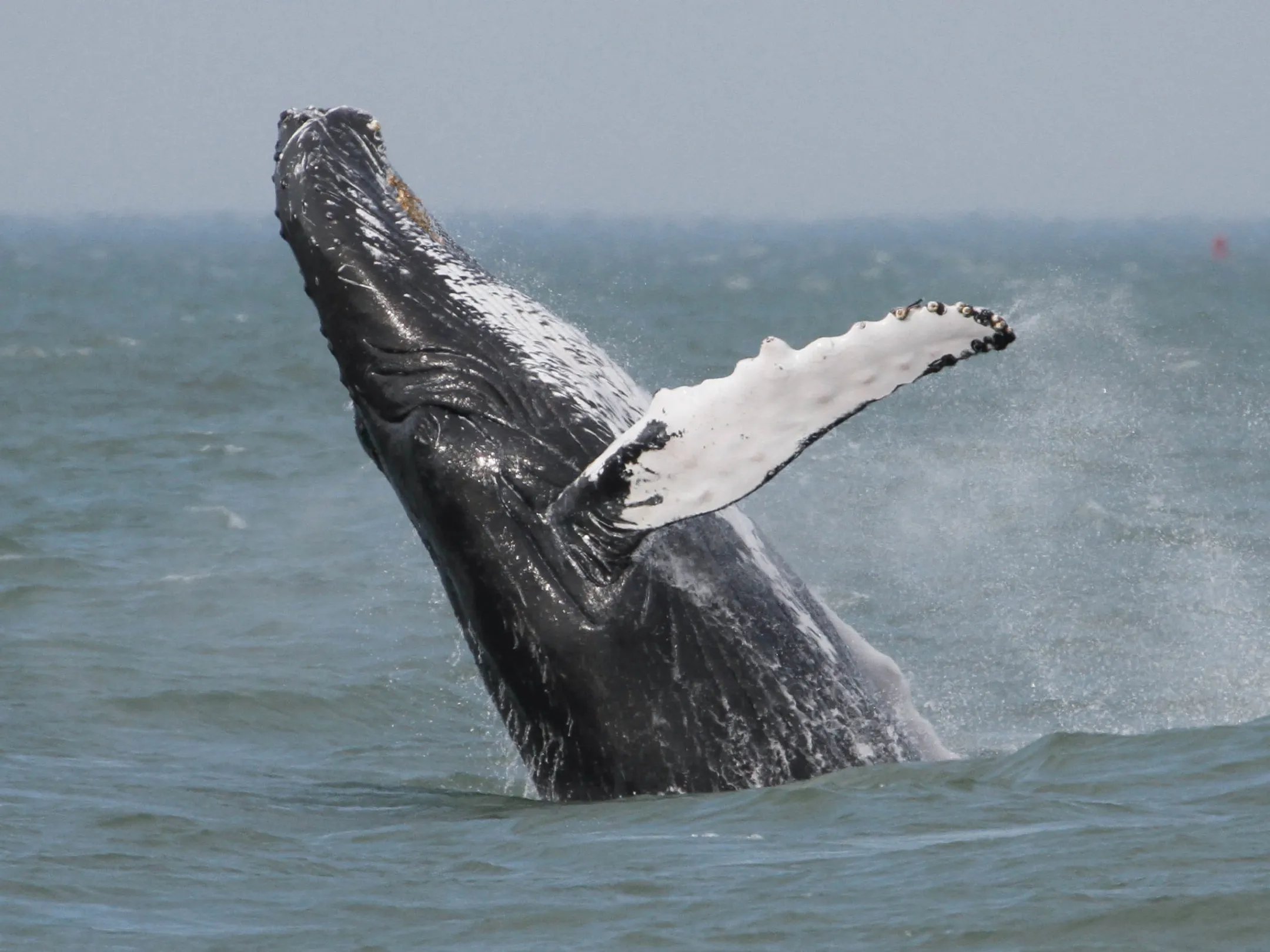 a man riding a wave on top of a body of water
