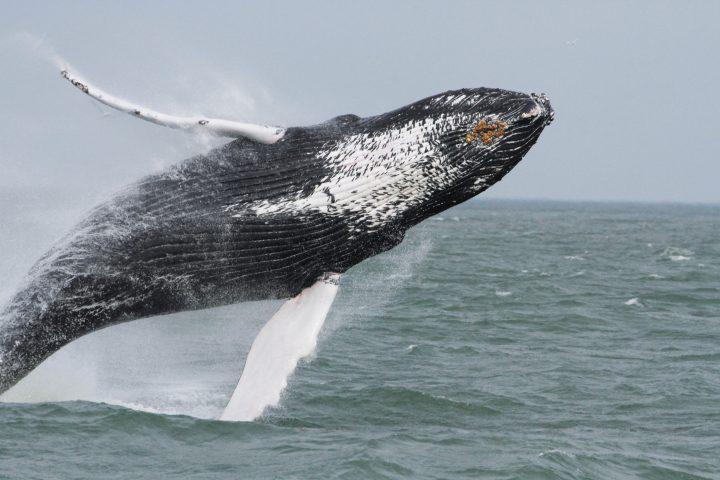 a man riding a wave on top of a body of water