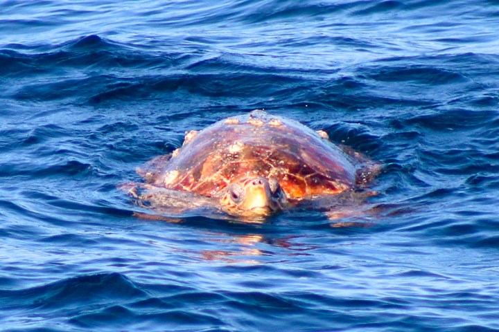 a large body of water