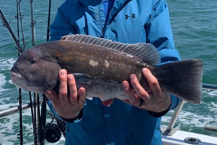 a man holding a fish on a boat in the water