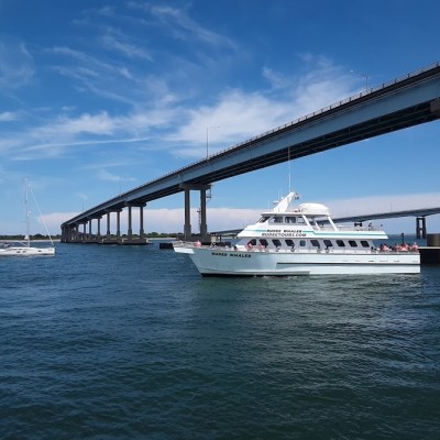 a large bridge over a body of water