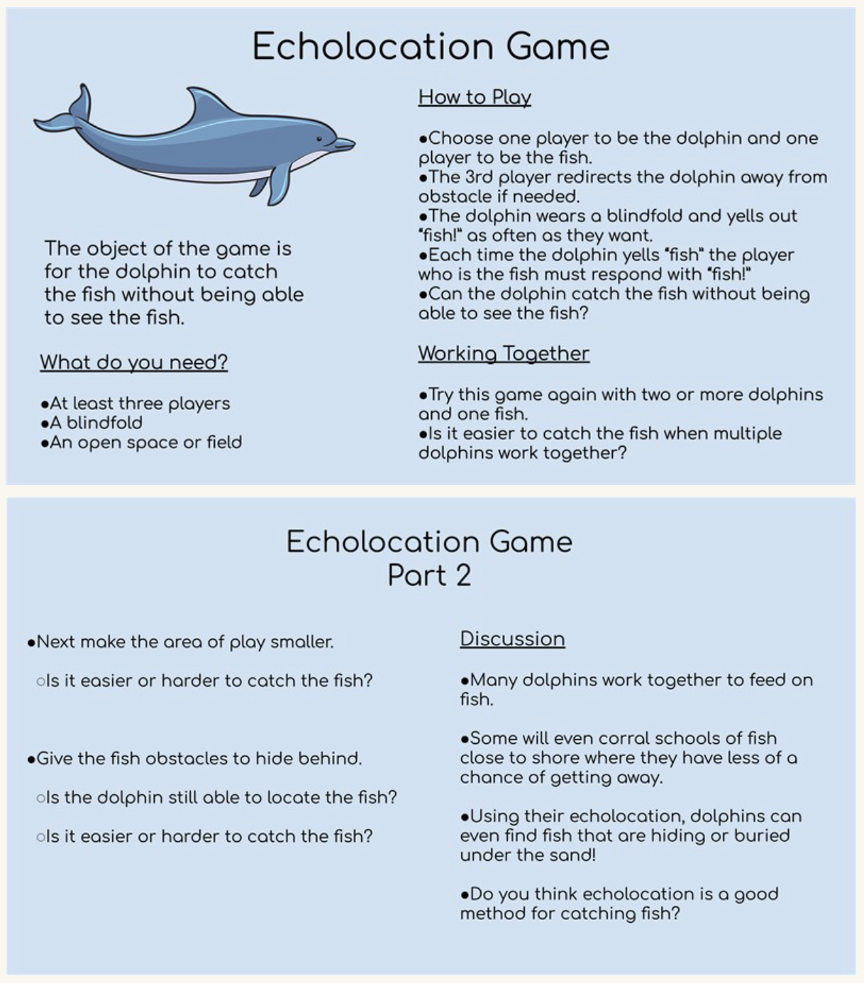 ECHOLOCATION GAME