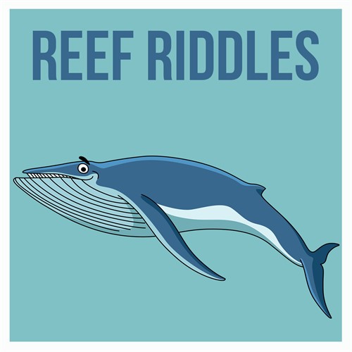 Reef Riddles