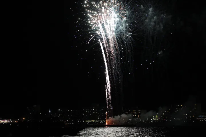 fireworks in the night sky