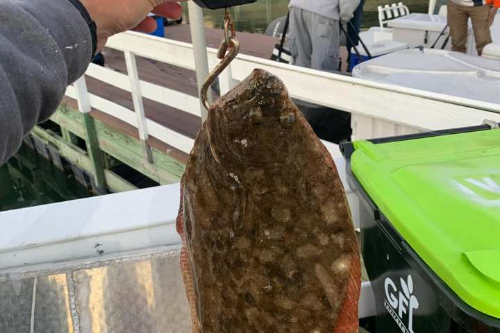 a person holding a piece of cake