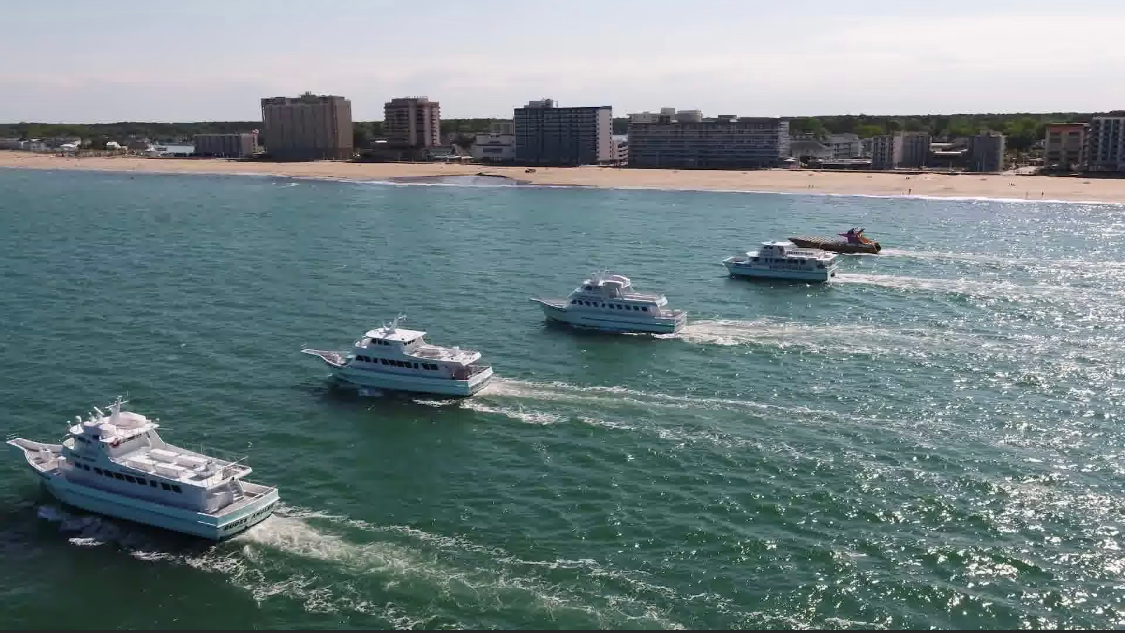 Rudee Tours fleet VB