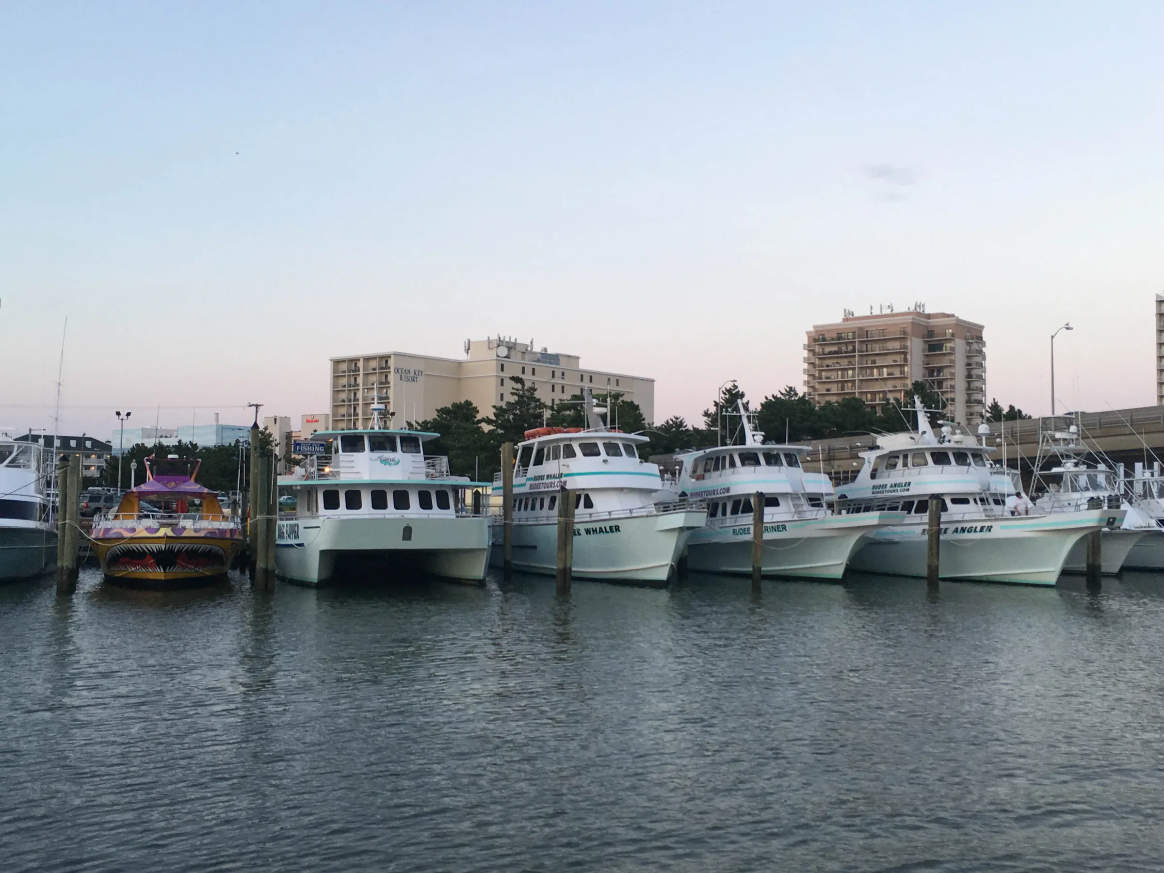 Rudee Tours fleet at the dock