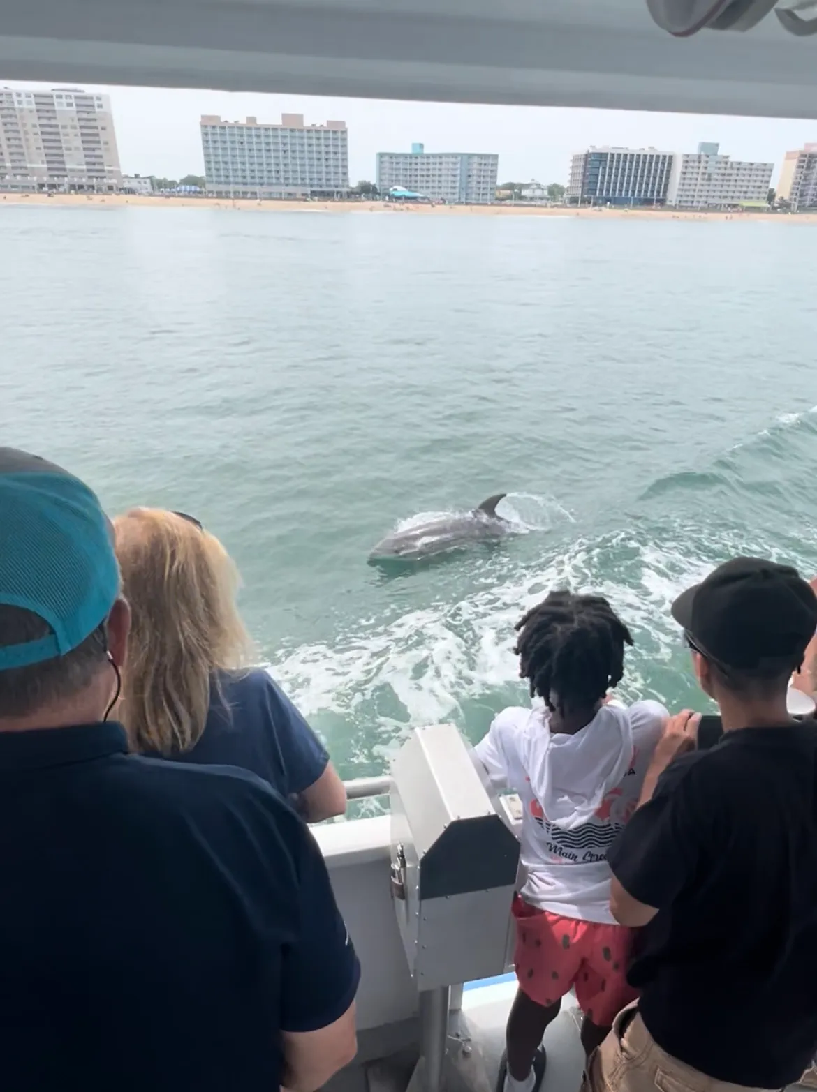 People on a boat watching a dolphin in the water off of Virginia Beach Oceanfront.